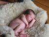 Bodhi's-pics-1-044_sm