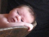 Bodhi's-pics-1-066_sm