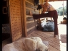 ac_pics_02